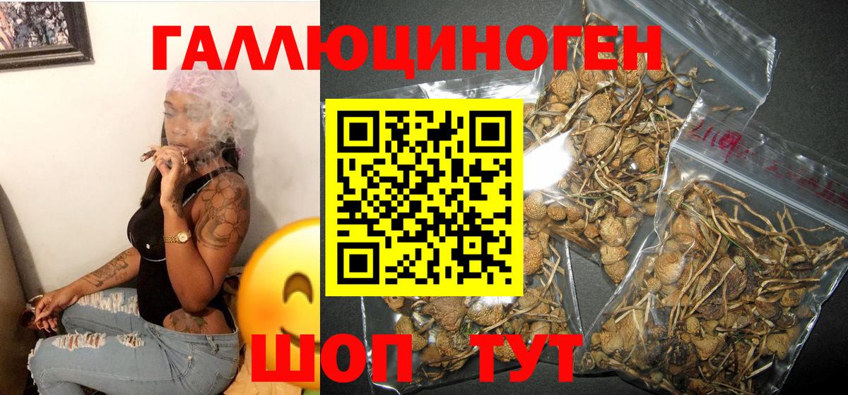 Галлюциногенные грибы Psilocybe  Вход с VPN  Павлово 